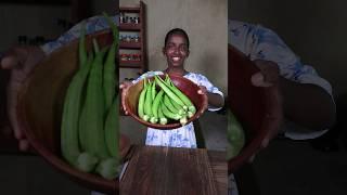 Okra Recipe  Village Cooking