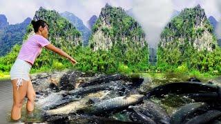 TIMELAPSE video girl and planet fishing the world's simplest large fish trap