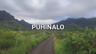 The Story Of Puhinalo