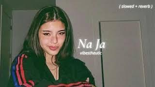 na ja ( slowed + reverb )