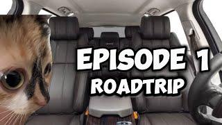 CAT MEMES: FAMILY ROADTRIP COMPILATION