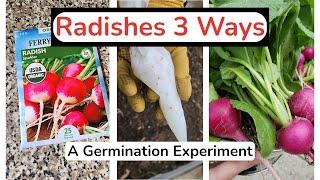 Radishes 3 Ways