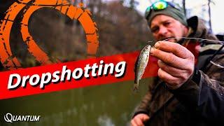 Raubfischangeln am Fluss mit Dropshot Montage und Köderfisch