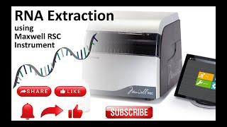 RNA Extraction using automated Promega Maxwell  RSC Instrument