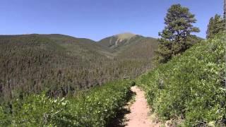 Camping At Alvarado Campground In Westcliffe, CO