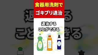 【駆除】 食器用洗剤でゴキブリを退治#shorts