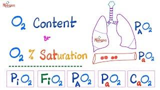 Oxygen Content - Oxygen Saturation (SaO2 %) - Oxygen Partial Pressure - Respiratory Physiology