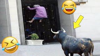 Funny Videos Compilation  Pranks - Amazing Stunts - By Happy Channel #7