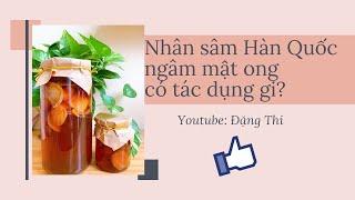 Cách dùng Nhân Sâm Hàn Quốc ngâm mật ong - Sâm tươi ngâm mật ong có tác dụng gì?- Thi Đặng