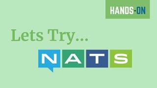 Let's Try NATS | Cloud Native Messaging System | JNats | Tech Primers