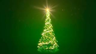 Christmas Tree Green Screen Background I Green Screen Christmas Tree I Christmas Green Screen I