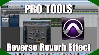 DPTV Pro Tools tutorial 8 (Reverse Reverb Effect)