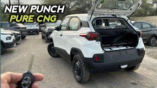 Segment King New Tata Punch Pure Cng 2024