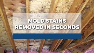 Watch Mold Stains Removed In Seconds with RMR-86 PRO Instant Mold Stain Remover