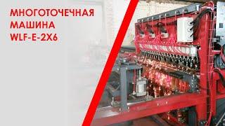 Многоточечная машина WLF-E-2x6