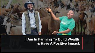 FARM TOUR - We Revisited The All New Million Dollar @FarmingInAfricaOfficial Project Site