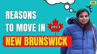 Top Reasons to move in New Brunswick | With Family | Hindi Vlog | Canadian Desire