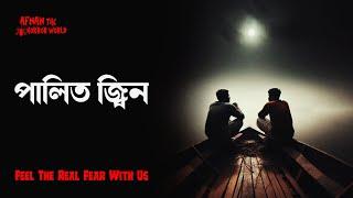 Horror Night Episode -54!! পালিত জ্বিন!! @AfnanTheHorrorWorldBD