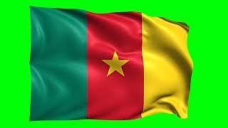 Cameroon Waving Flag Green Screen Animation | 3D Flag Animation | Royalty-Free