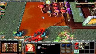 WC3 - Frozen Throne: Blizzard TD (Tower Defense) in 48 min!