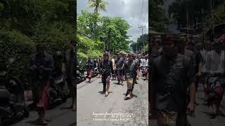 Pawiwahan Puri Agung Ubud CokdeWah & Cok Chintya Pepadikan #shorts #royalwedding #puri