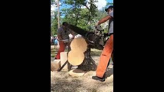 Huge Fast Chainsaw! #viral #shorts #chainsaw #new