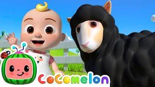 Baa Baa Black Sheep! | @CoComelon Animal Time | Animals for Kids