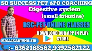 DIGESTIVE SYSTEM PART-1 Small Intestine