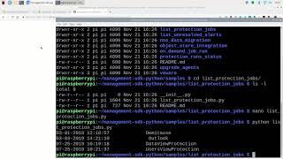 Managing Cohesity with a RaspberryPi and Python