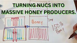 Turning nucs into massive honey producers