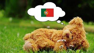 Learn Portuguese While You Sleep - 1000 Important Portuguese Words & Phrases