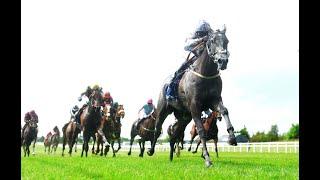 FALLEN ANGEL bounces back for Tattersalls Irish 1,000 Guineas glory