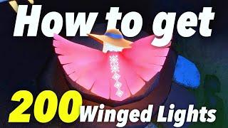 How to get 200 Winged lights  | 12 Wedge cape | sky children of the light | Noob Mode