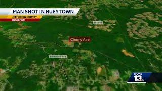 Police search for person who shot Hueytown man while he was tending to his dogs