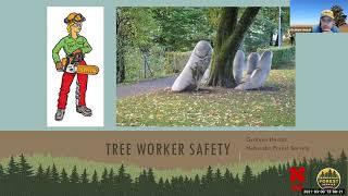 Tree Worker Safety