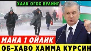 ШОШИЛИНЧ! УЗБЕКИСТОНДА 1-10-20-30 НОЯБРЬ 1-ОЙЛИК ОБ-ХАВО ХАММА КУРСИН..