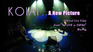 KOIAI - A New Picture  (Official Live Video from "1st LIVE in JAPAN" Blu-ray)