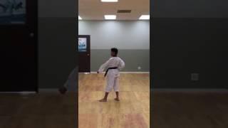 Taekwondo Form 3 Taegeuk Sam-Jang