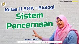 Sistem Pencernaan - Biologi - Kelas 11 SMA - Tridaya Online