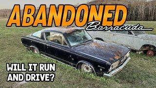 Will This ABANDONED Barracuda Run and Drive Home After Decades?