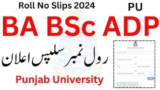 BA BSc ADP Exams 2024 Roll No Slips PU | ADA ADS ADC Roll No Slips 2024 PU