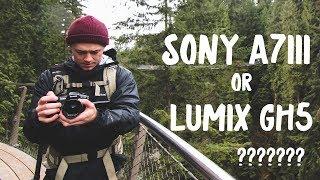 Sony A7iii OR Panasonic GH5???