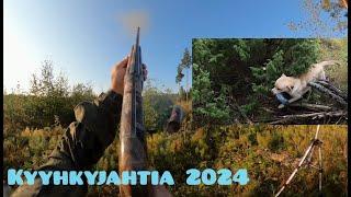 Kyyhkyjahti 2024 | Veltsu noutaa vai noutaako? | @eramiehenmatkassa