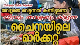 പാമ്പും തവളയും തേളും കിട്ടുന്ന ഒരു ചൈനീസ് മാർക്കറ്റ്|Chinese Public Market|Must Watch