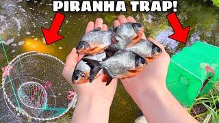 Worlds FASTEST Growing Piranha Fish are Invading my Pond!! (FISH TRAP WORKS)