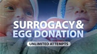 Infertility treatment step by step: surrogacy and egg donation, Biotexcom