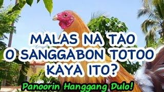 MALAS NA TAO O SANGGABON TOTOO KAYA 'TO? #backyardfarming #farming #backyardfarmer