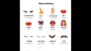 THE MOST COMMON FRASES IN  RUSSIAN LANGUAGE#russianlanguage#learnrussianonline#russian_vocabularu