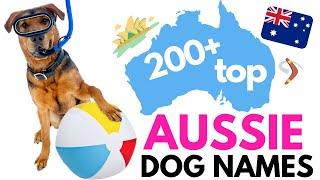 Top 200+ AUSTRALIAN Dog Names: Fun and Unique Names