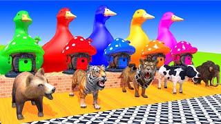 5 Giant Duck & Wild Animals Cage Game Cow Gorilla Tiger Elephant Panda Crossing Fountain